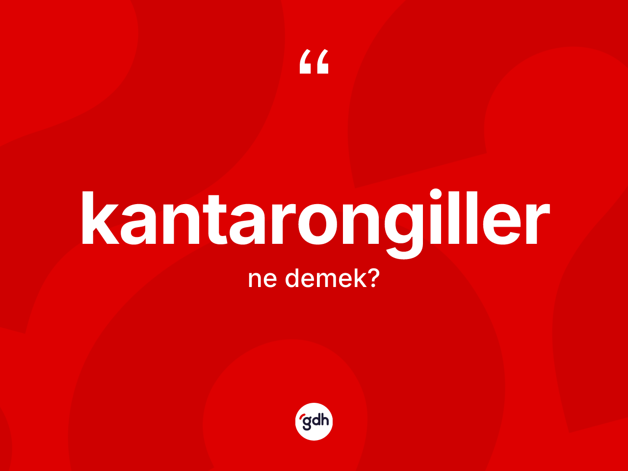 Kantarongiller kelimesinin anlamı nedir? Kantarongiller kelimesinin TDK anlamı nedir?