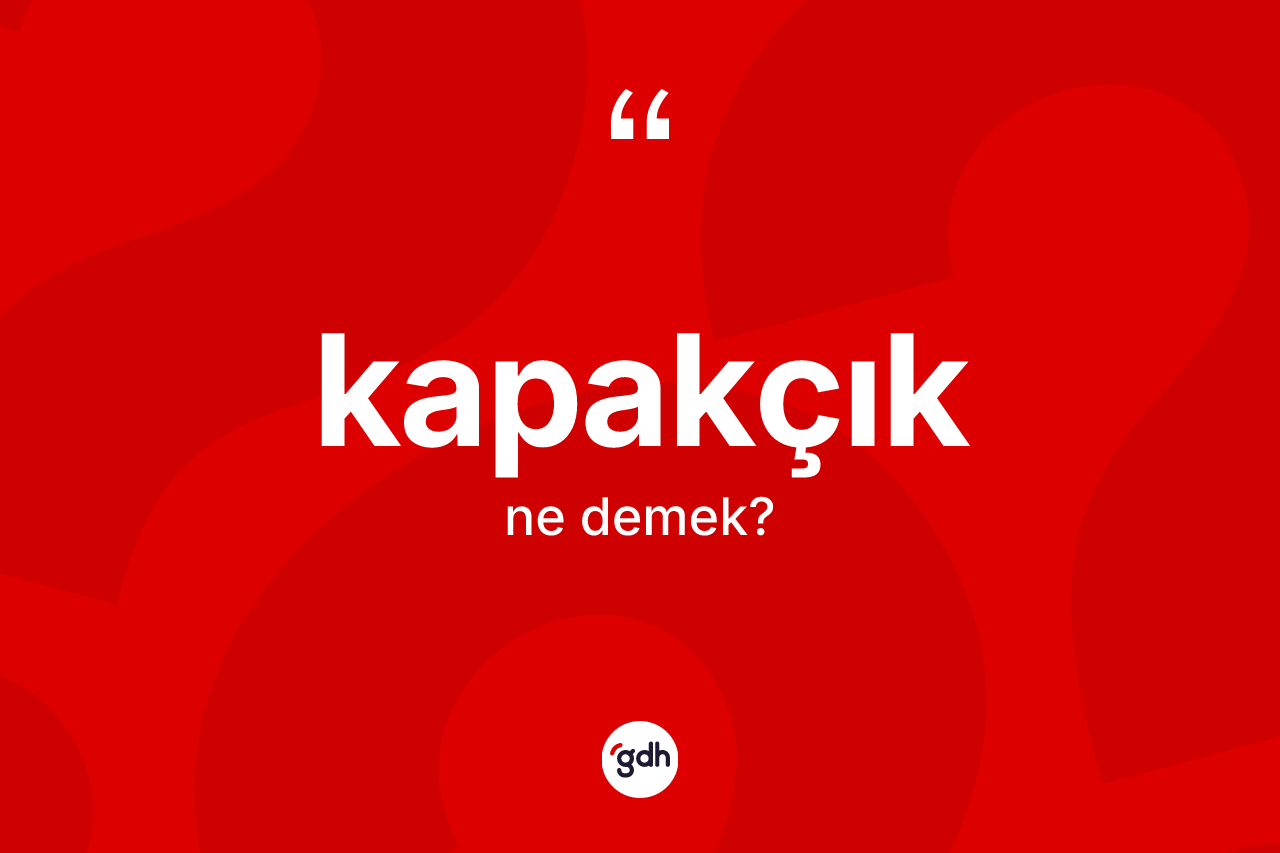 Kapakçık kelimesinin tanımı nedir? Kapakçığın TDK'ya göre anlamı nedir?