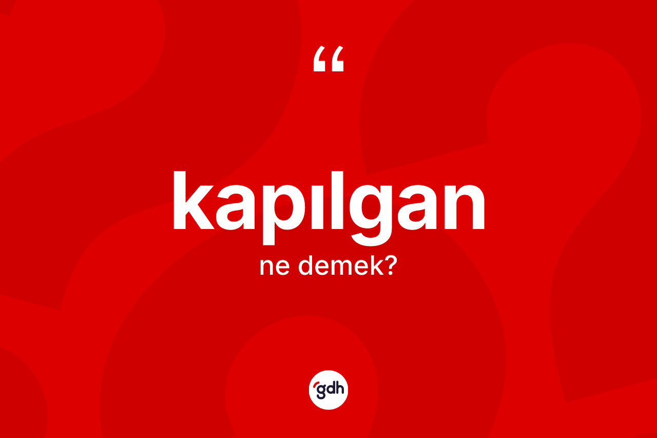 Kapılgan kelimesi ne demek? Kapılganın TDK'ya göre anlamı nedir?