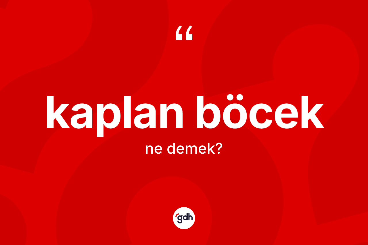 Kaplan böcek kelimesinin anlamı nedir? Kaplan böcek kelimesinin TDK anlamı nedir?