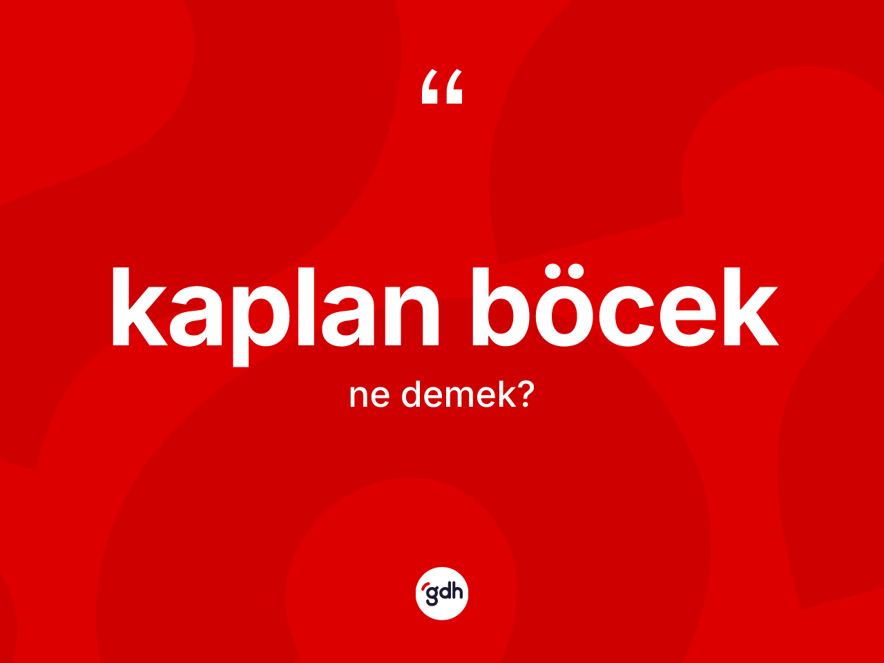 Kaplan böcek kelimesinin anlamı nedir? Kaplan böcek kelimesinin TDK anlamı nedir?