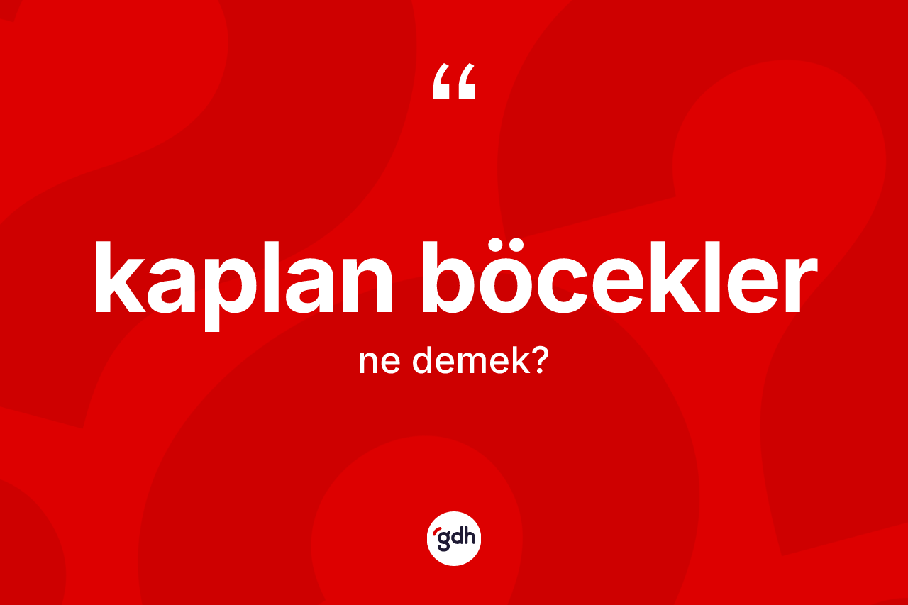 Kaplan böcekler ne anlama gelir? Kaplan böceklerin kısaca tanımı nedir?