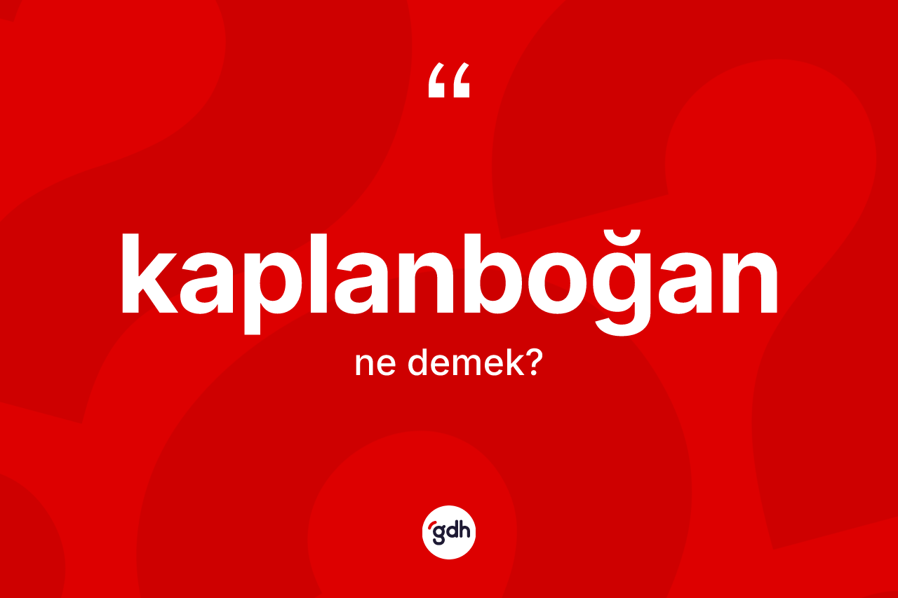 Kaplanboğan kelimesinin sözlükteki tanımı nedir? Kaplanboğanın TDK'ya göre anlamı nedir?