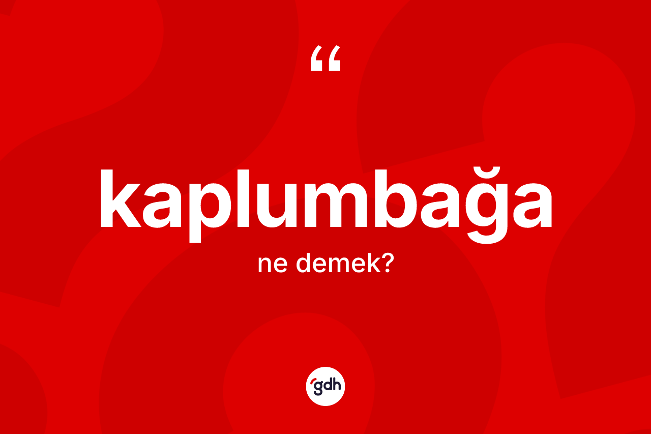 Kaplumbağa ne demek? Kaplumbağa kelimesinin TDK anlamı nedir?