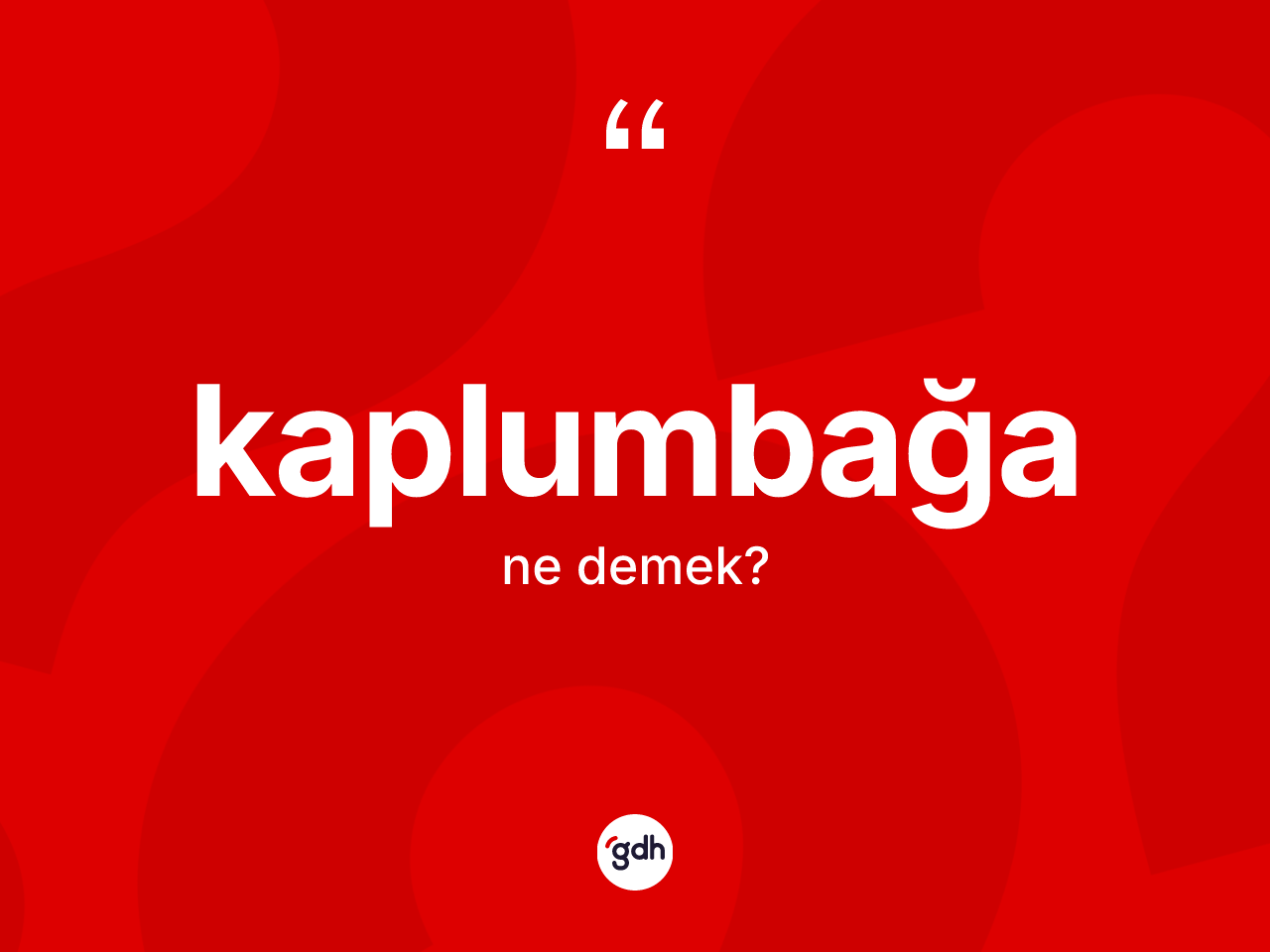 Kaplumbağa ne demek? Kaplumbağa kelimesinin TDK anlamı nedir?