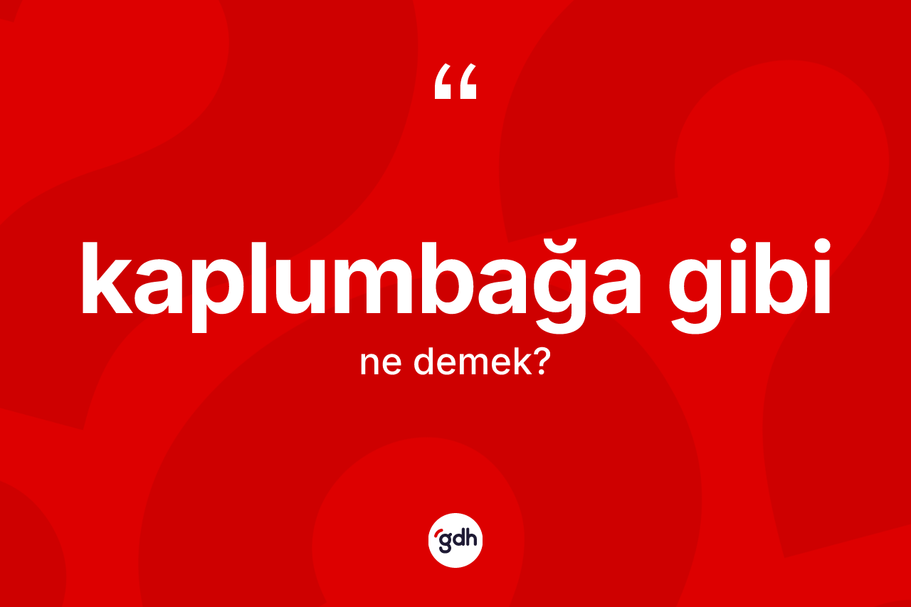 Kaplumbağa gibi ifadesinin sözlükteki anlamı nedir? Kaplumbağa gibi sözü nerede kullanılır?