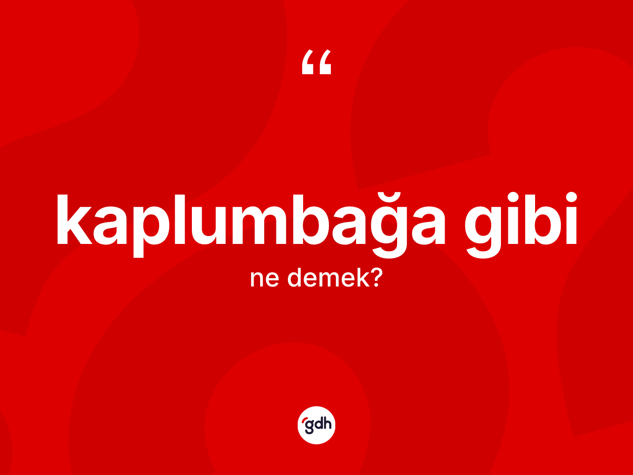 Kaplumbağa gibi ifadesinin sözlükteki anlamı nedir? Kaplumbağa gibi sözü nerede kullanılır?
