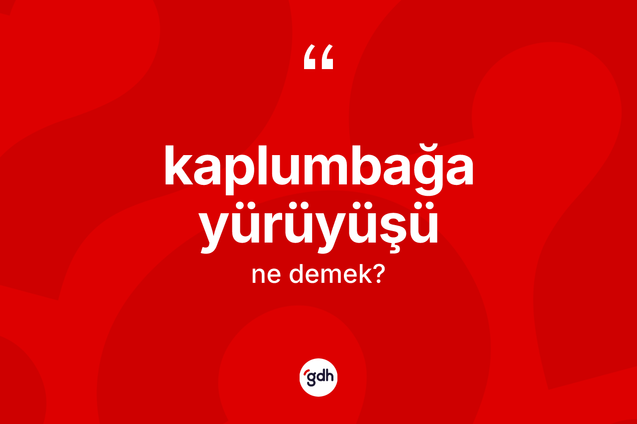 Kaplumbağa yürüyüşü kelimesinin sözlükteki tanımı nedir? Kaplumbağa yürüyüşü kelimesinin TDK anlamı nedir?