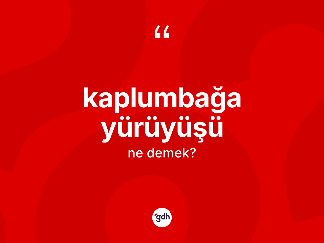 Kaplumbağa yürüyüşü kelimesinin sözlükteki tanımı nedir? Kaplumbağa yürüyüşü kelimesinin TDK anlamı nedir?