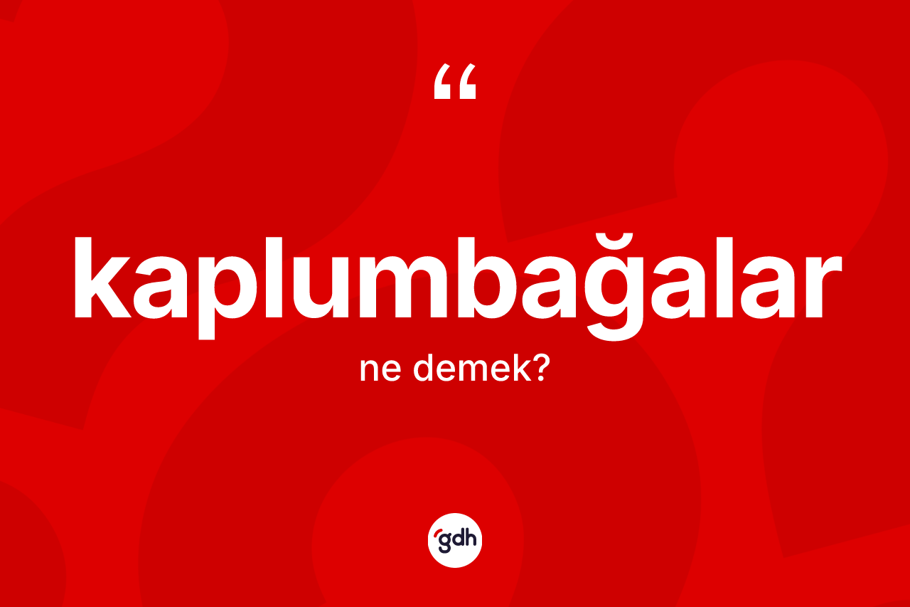 Kaplumbağalar kelimesinin tanımı nedir? Kaplumbağaların TDK'ya göre anlamı nedir?