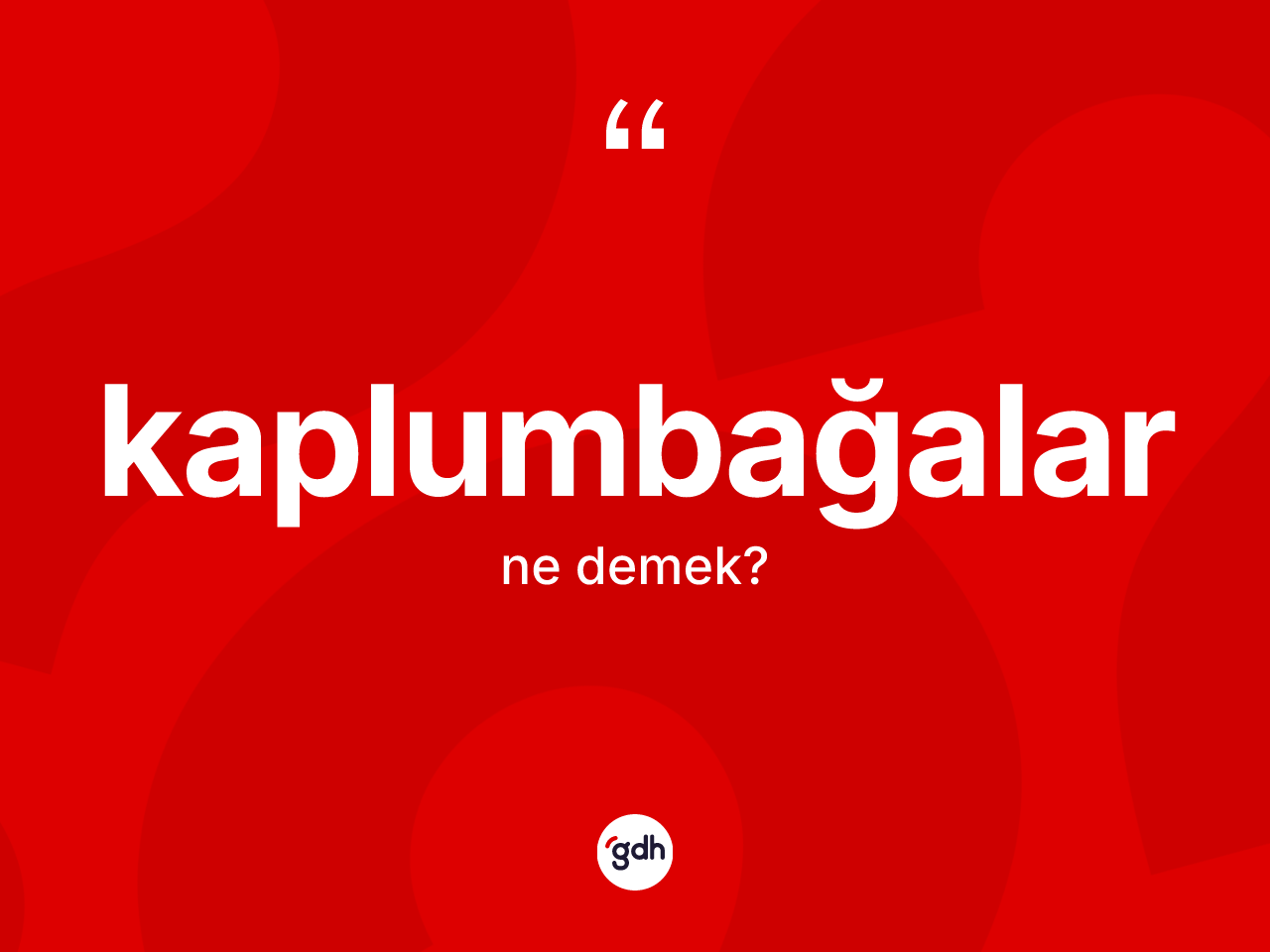 Kaplumbağalar kelimesinin tanımı nedir? Kaplumbağaların TDK'ya göre anlamı nedir?