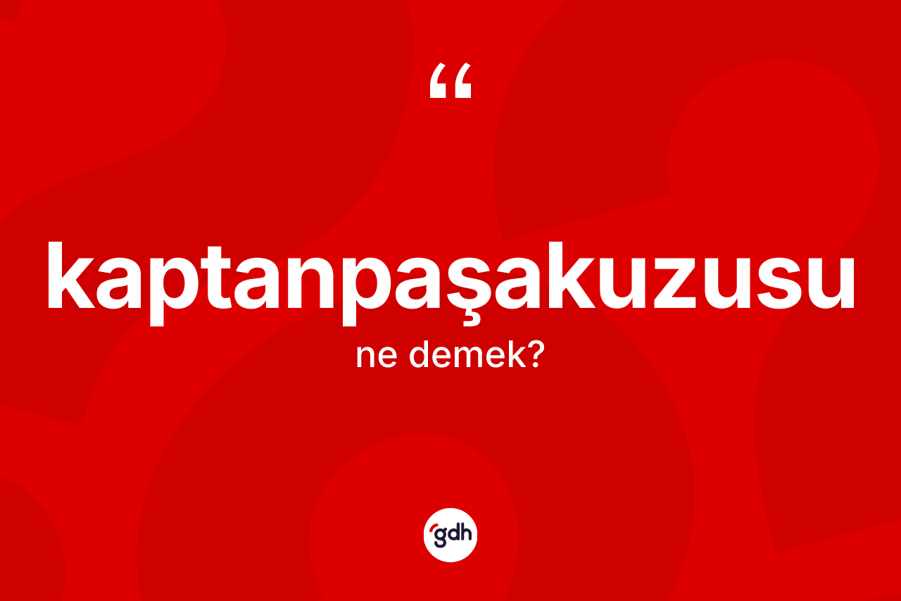 Kaptanpaşakuzusu ne anlama gelir? Kaptanpaşakuzusunun TDK'ya göre anlamı nedir?