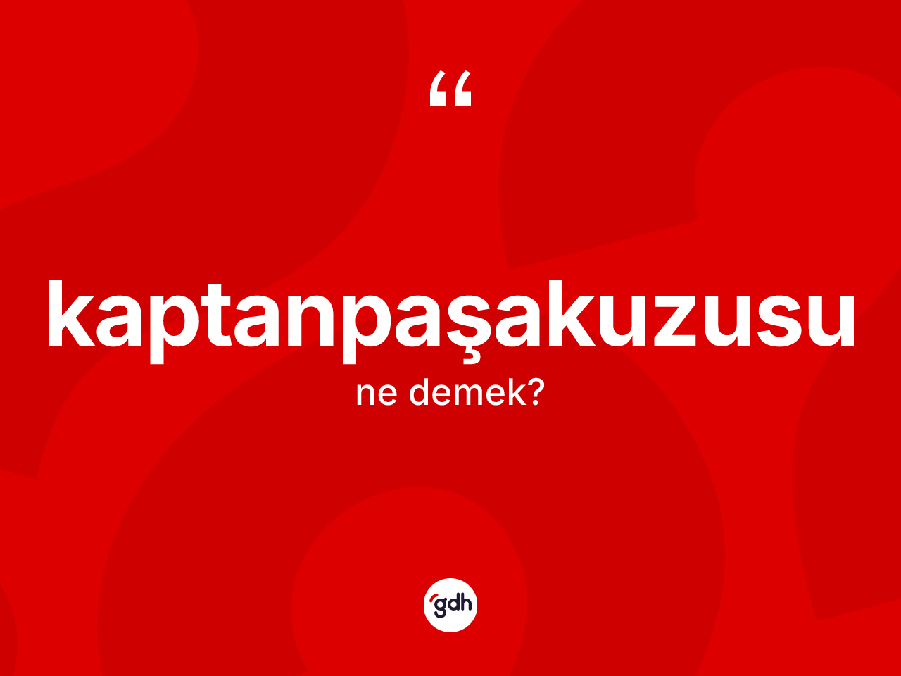 Kaptanpaşakuzusu ne anlama gelir? Kaptanpaşakuzusunun TDK'ya göre anlamı nedir?
