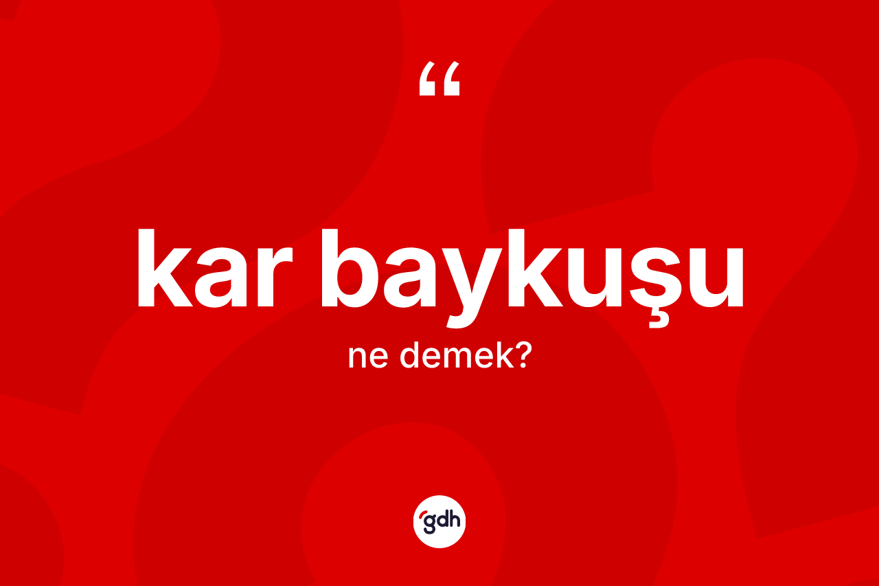 Kar baykuşu kelimesinin sözlükteki tanımı nedir? Kar baykuşunun TDK'ya göre anlamı nedir?