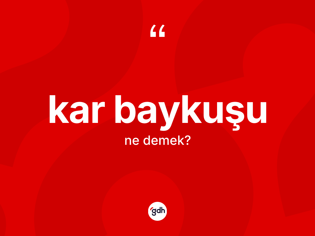 Kar baykuşu kelimesinin sözlükteki tanımı nedir? Kar baykuşunun TDK'ya göre anlamı nedir?