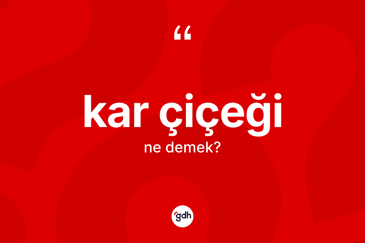 Kar çiçeği kelimesi ne demek? Kar çiçeğinin TDK'ya göre anlamı nedir?