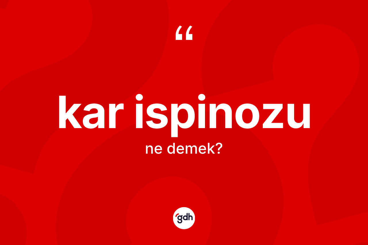 Kar ispinozu kelimesi nedir? Kar ispinozunun sözlükteki anlamı nedir?