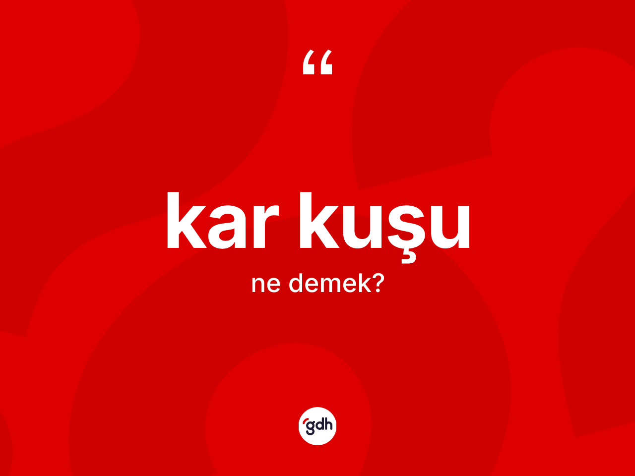 Kar kuşu ne anlama gelir? Kar kuşunun TDK'ya göre anlamı nedir?