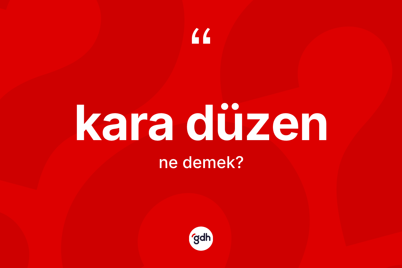 Kara düzen kelimesi ne demek? Kara düzenin TDK'ya göre anlamı nedir?