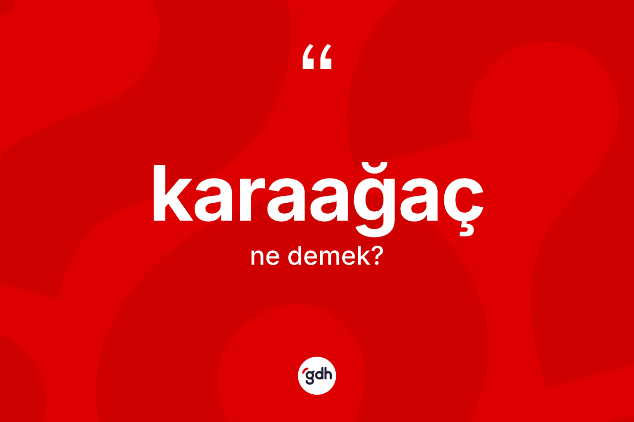 Karaağaç ne demek? Karaağacın TDK'ya göre anlamı nedir?