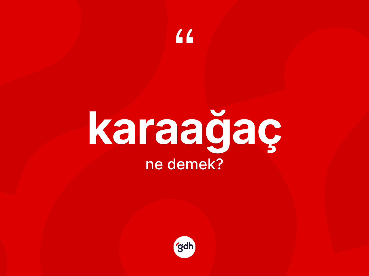 Karaağaç ne demek? Karaağacın TDK'ya göre anlamı nedir?