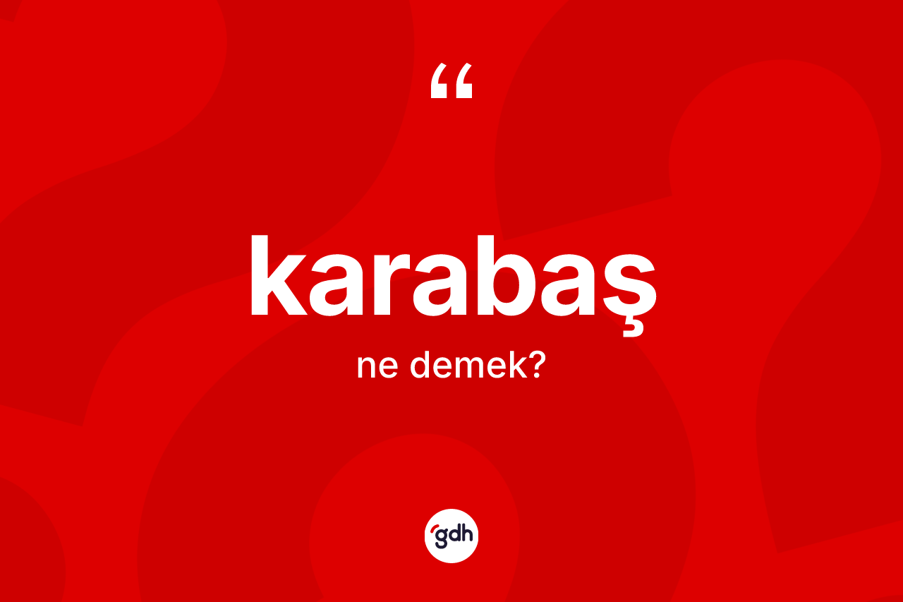 Karabaş kelimesinin tanımı nedir? Karabaşın TDK'ya göre anlamı nedir?
