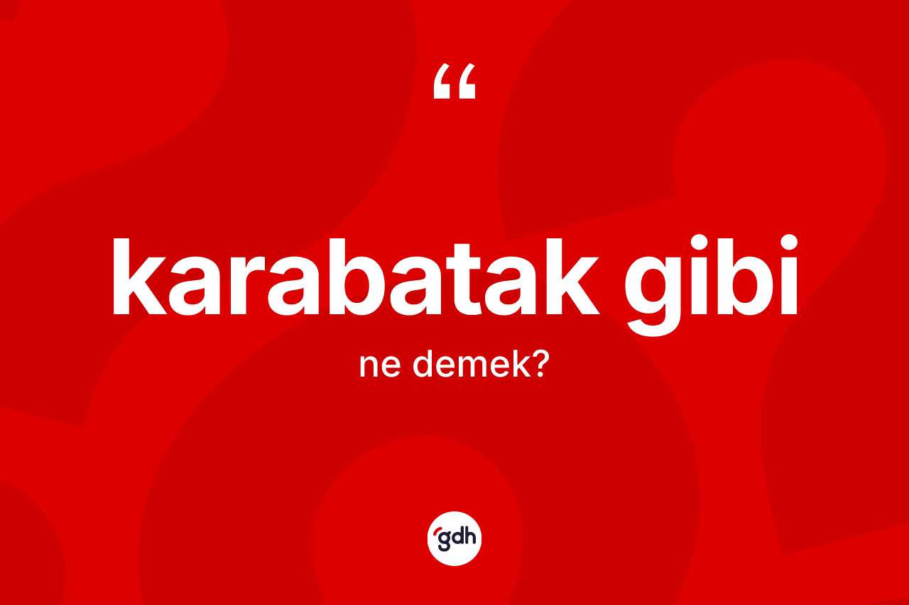 Karabatak gibi ifadesinin sözlükteki anlamı nedir? Karabatak gibi ifadesinin TDK'ya göre açıklaması nedir?