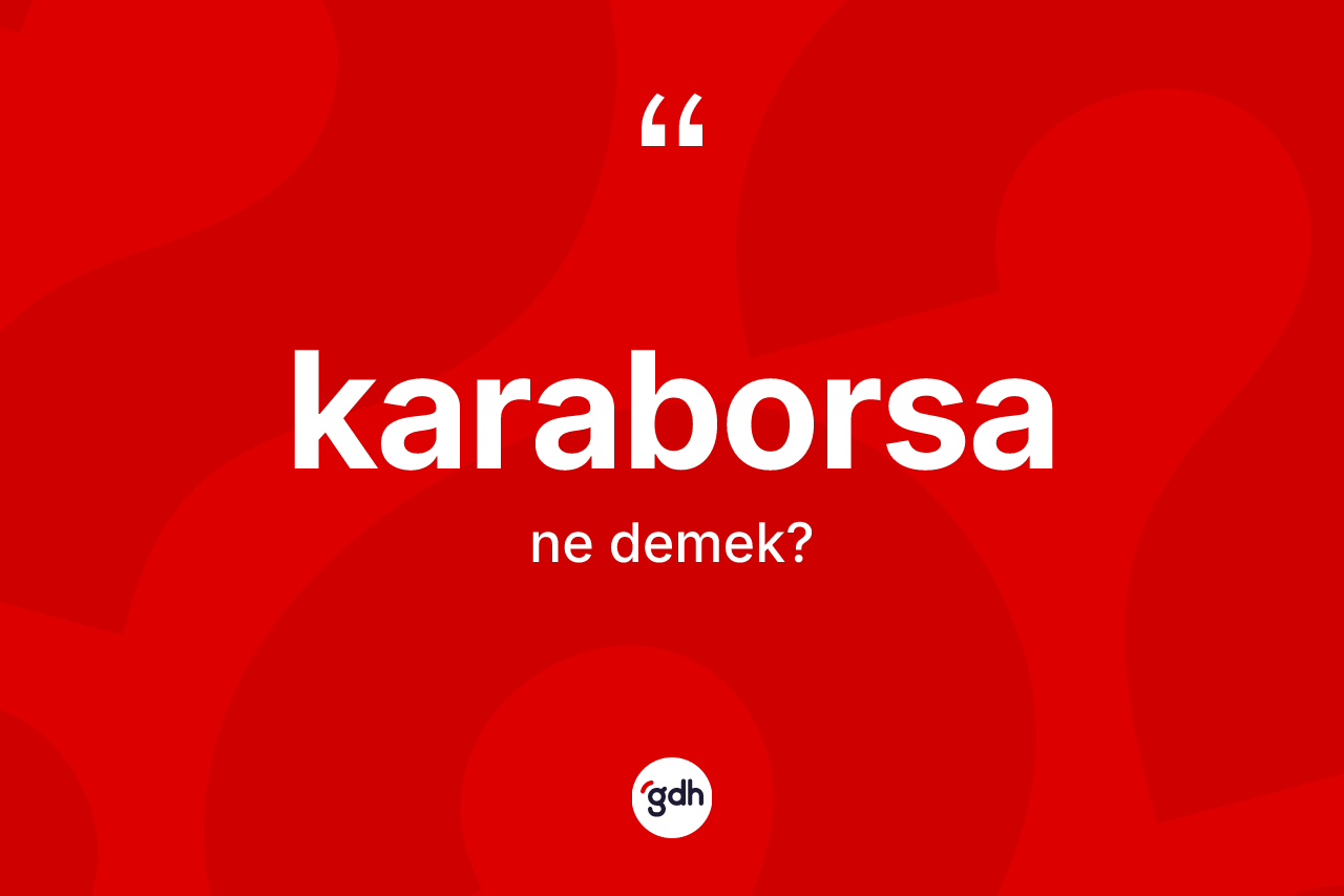 Karaborsa kelimesi ne demek? Karaborsa kelimesinin TDK'ya göre açıklaması nedir?