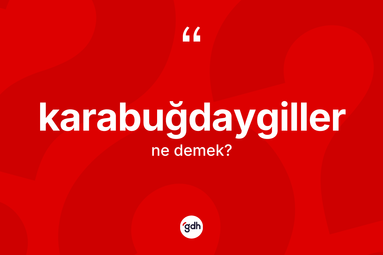 Karabuğdaygiller kelimesinin anlamı nedir? Karabuğdaygillerin TDK'ya göre anlamı nedir?