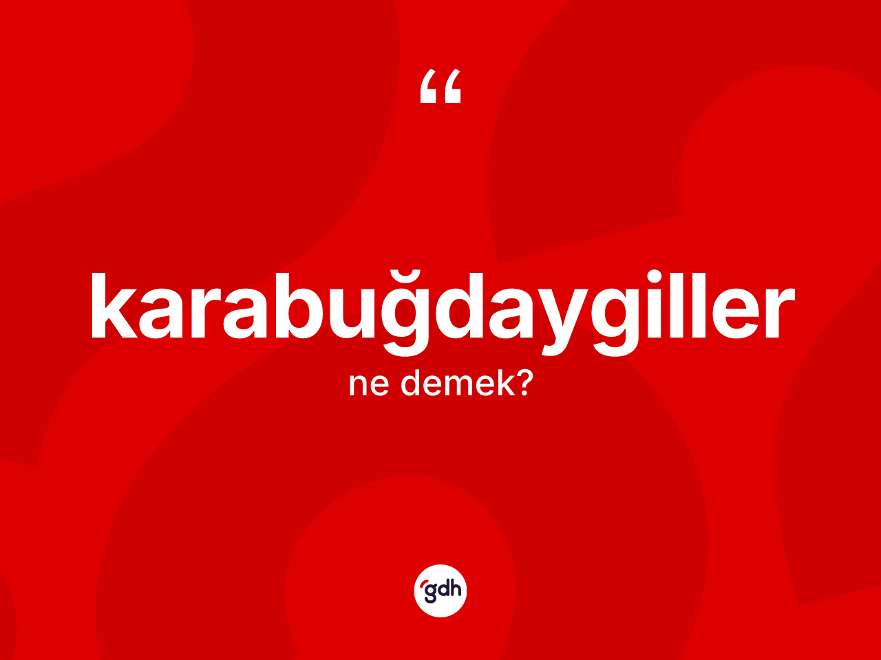 Karabuğdaygiller kelimesinin anlamı nedir? Karabuğdaygillerin TDK'ya göre anlamı nedir?
