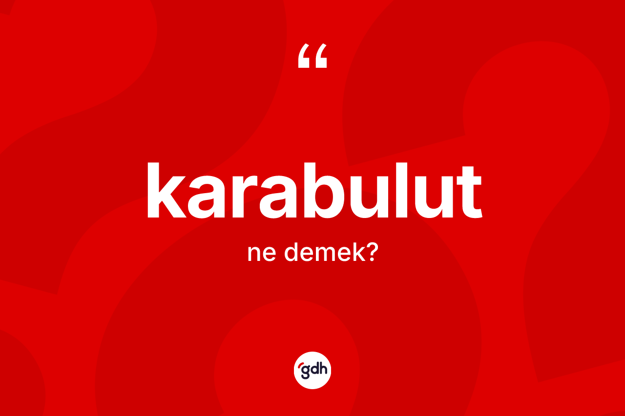 Karabulut ne demek? Karabulutun TDK'ya göre anlamı nedir?