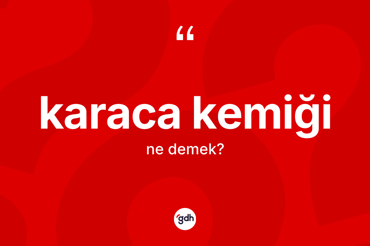 Karaca kemiği kelimesi ne anlama gelir? Karaca kemiğinin TDK'ya göre anlamı nedir?