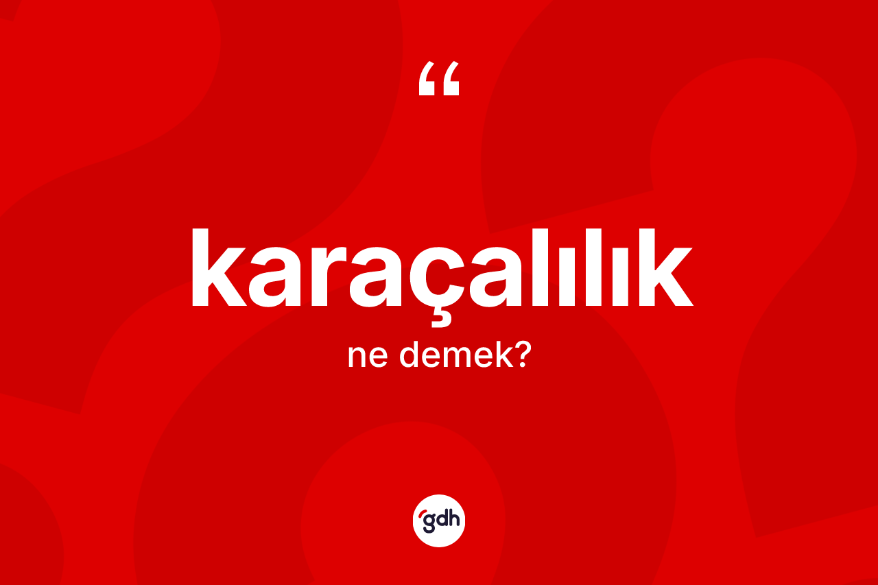 Karaçalılık kelimesinin tanımı nedir? Karaçalılığın TDK'ya göre anlamı nedir?