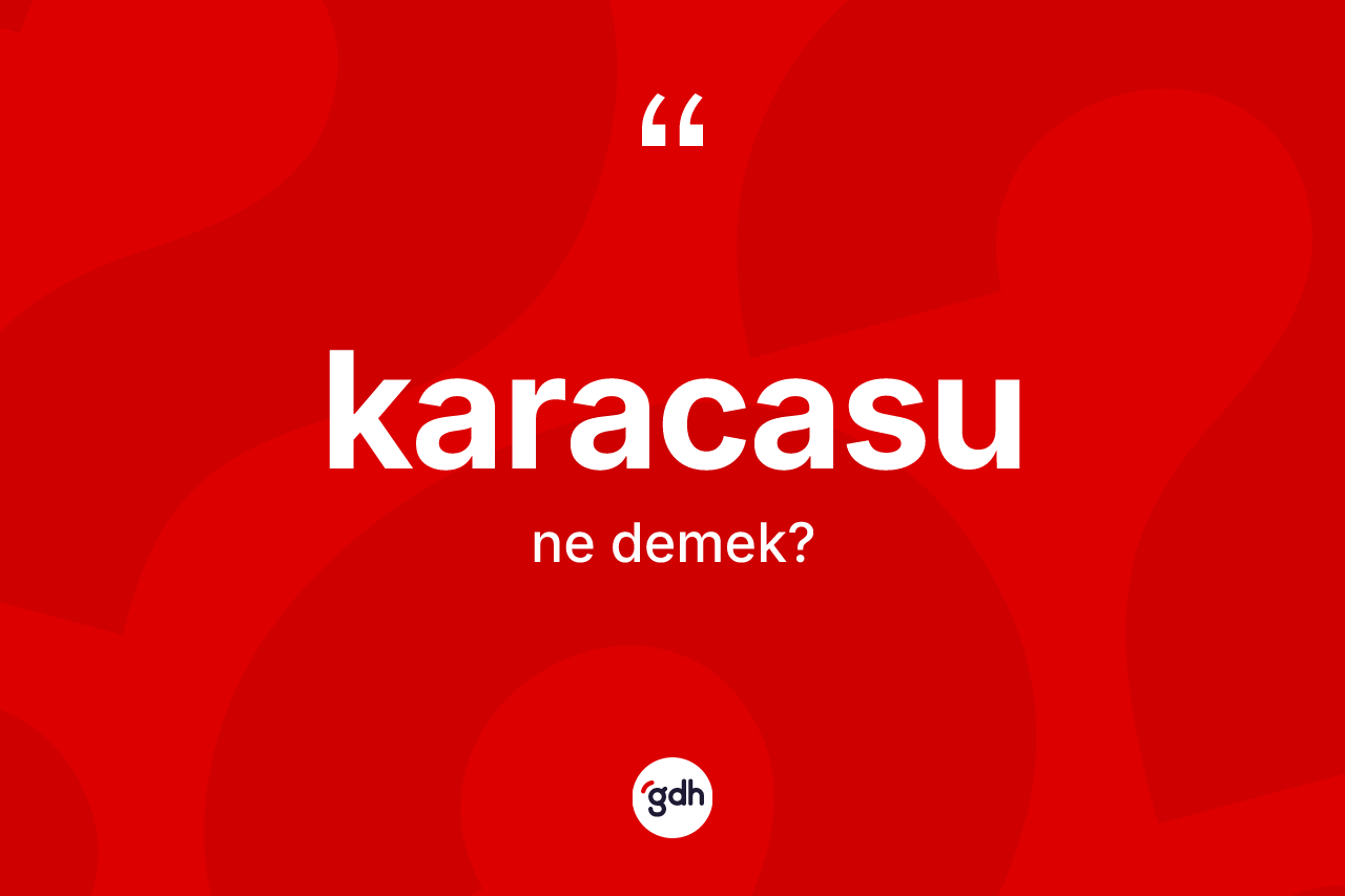 Karacasu nedir? Karacasu'nun TDK'ya göre anlamı nedir?
