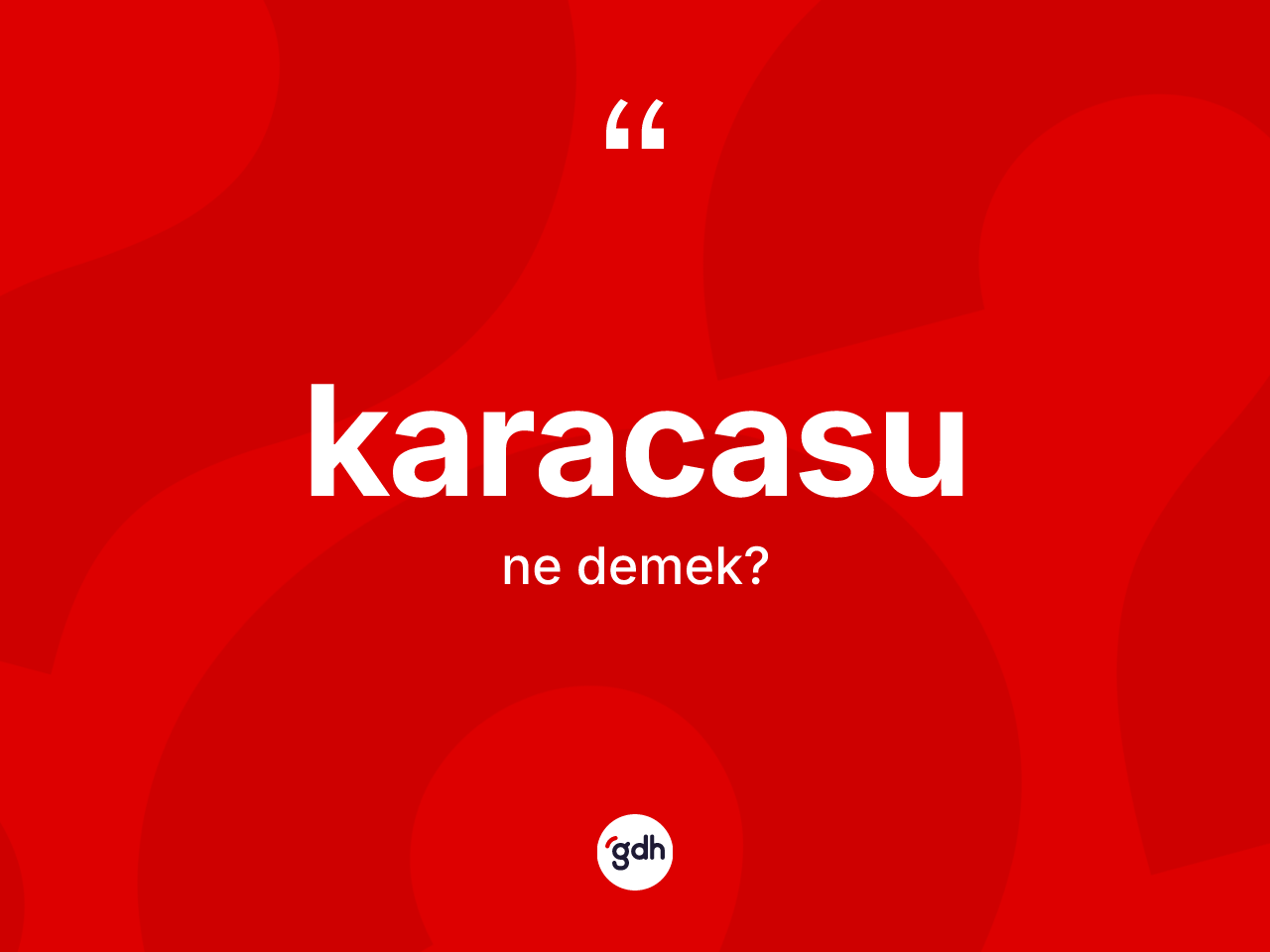 Karacasu nedir? Karacasu'nun TDK'ya göre anlamı nedir?