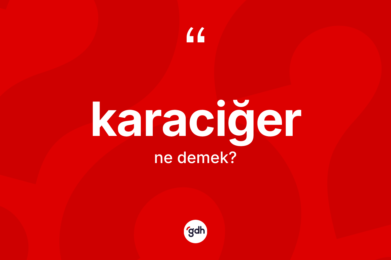 Karaciğer kelimesi ne anlama gelir? Karaciğerin TDK'ya göre anlamı nedir?