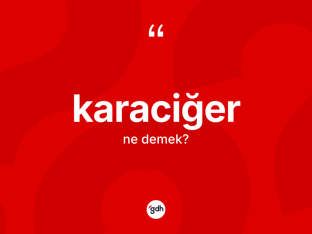 Karaciğer kelimesi ne anlama gelir? Karaciğerin TDK'ya göre anlamı nedir?