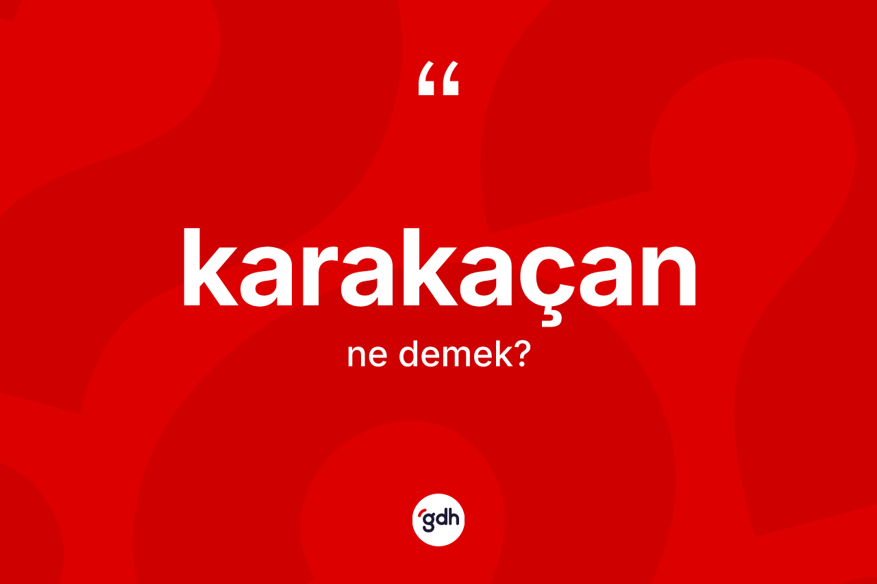 Karakaçan kelimesi ne demek? Karakaçanın TDK'ya göre anlamı nedir?