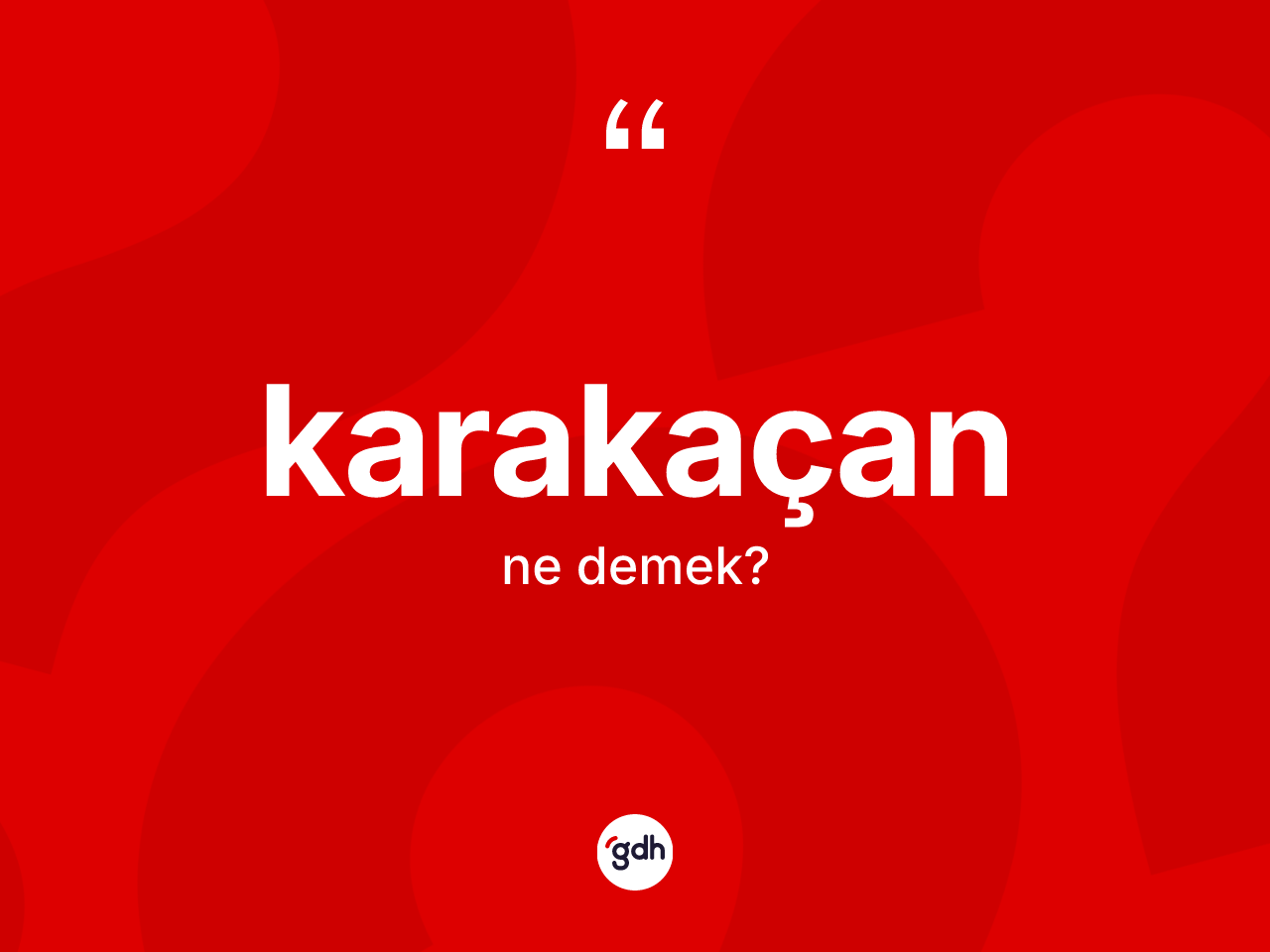 Karakaçan kelimesi ne demek? Karakaçanın TDK'ya göre anlamı nedir?