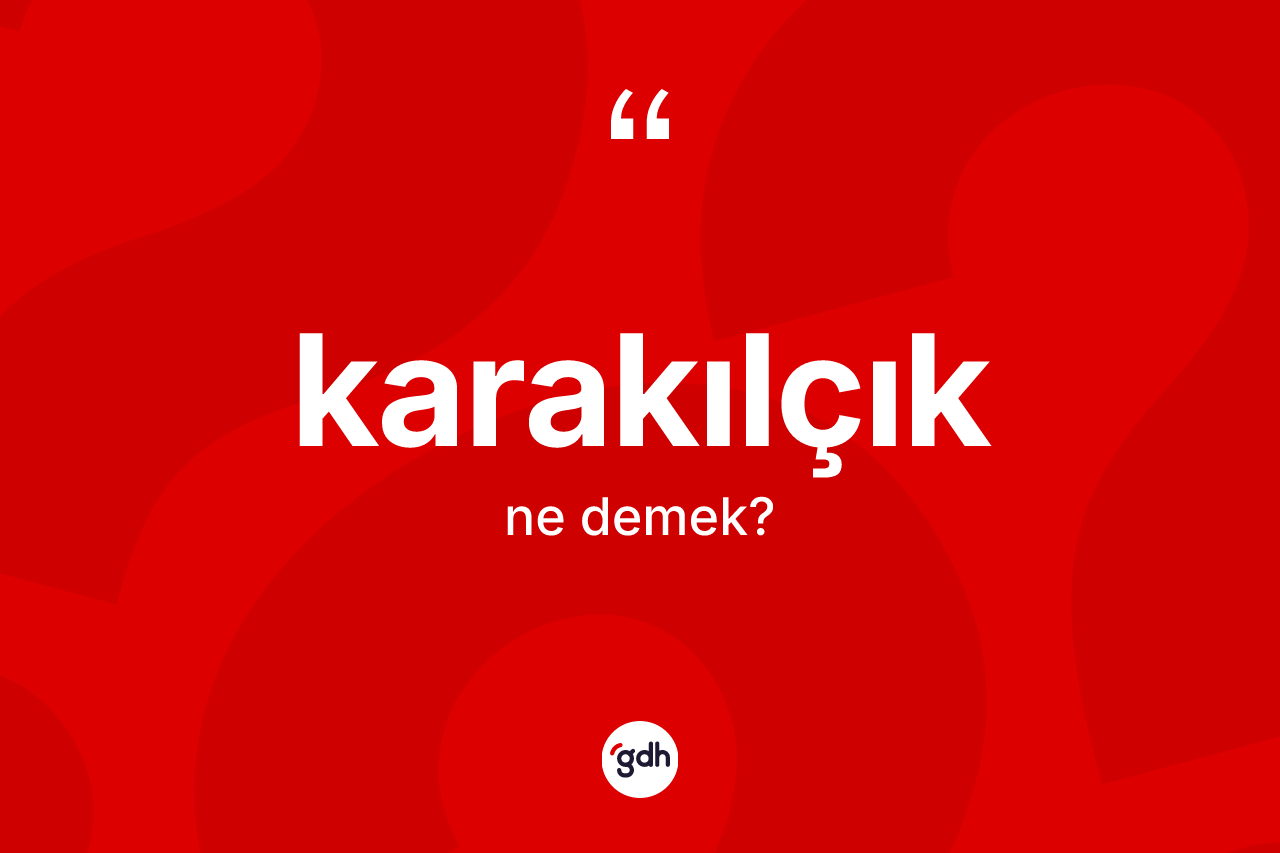 Karakılçık kelimesinin sözlükteki tanımı nedir? Karakılçığın TDK'ya göre anlamı nedir?