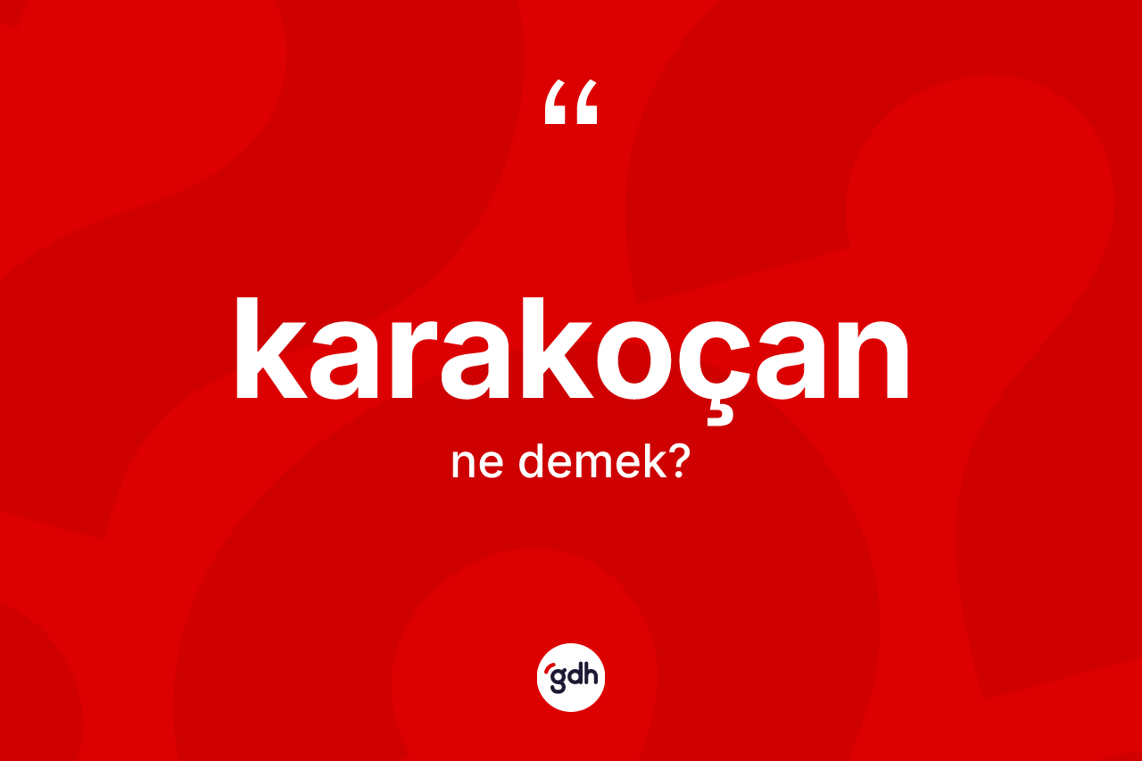 Karakoçan ne demek? Karakoçan kelimesinin kaç farklı anlamı var?