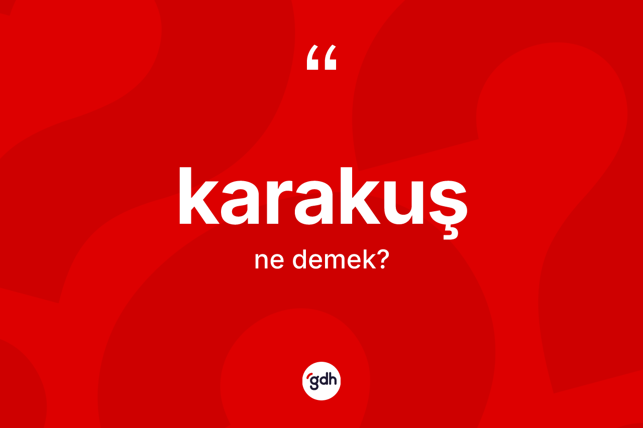 Karakuş kelimesi ne anlama gelir? Karakuşun TDK'ya göre anlamı nedir?