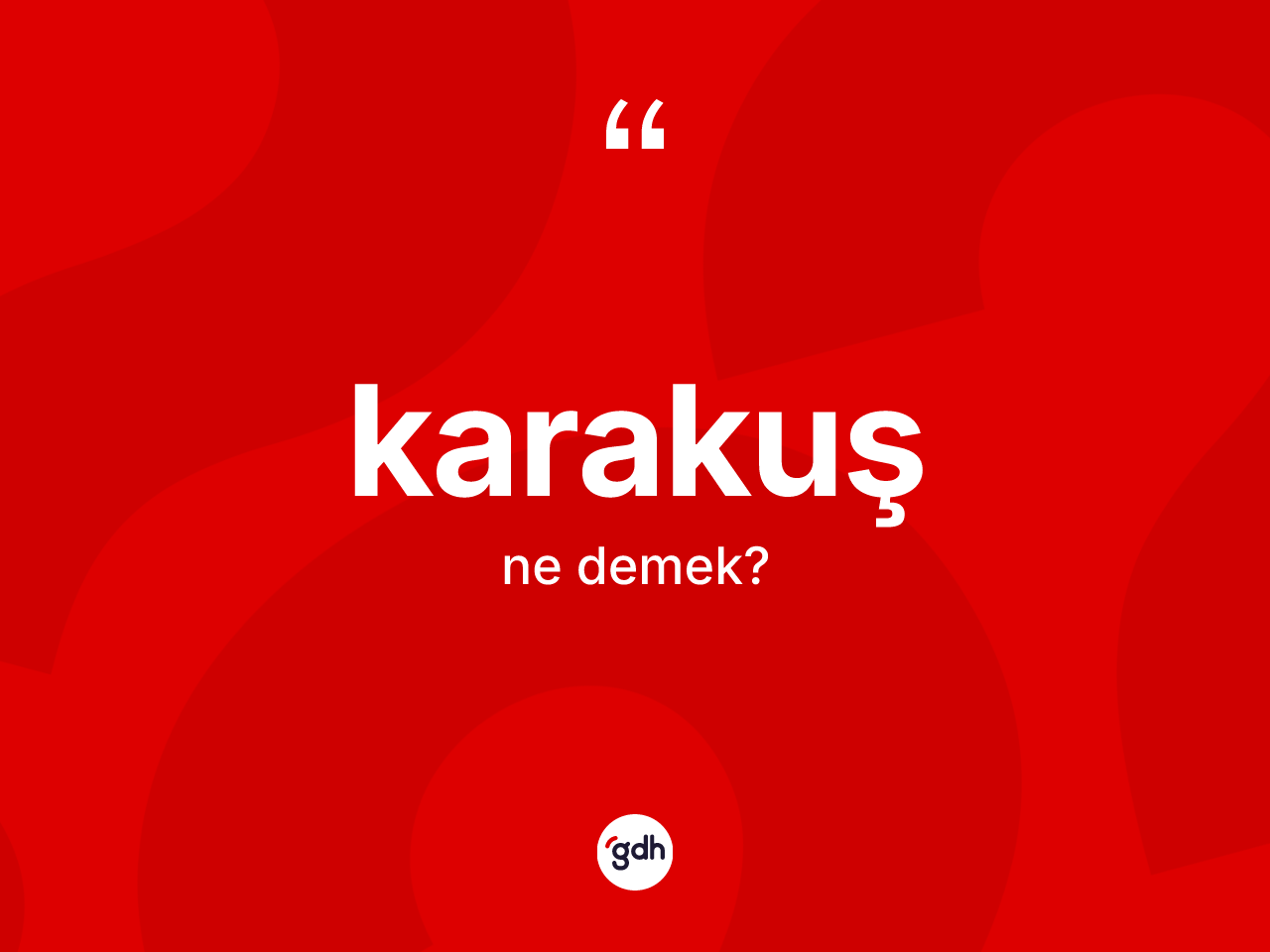 Karakuş kelimesi ne anlama gelir? Karakuşun TDK'ya göre anlamı nedir?
