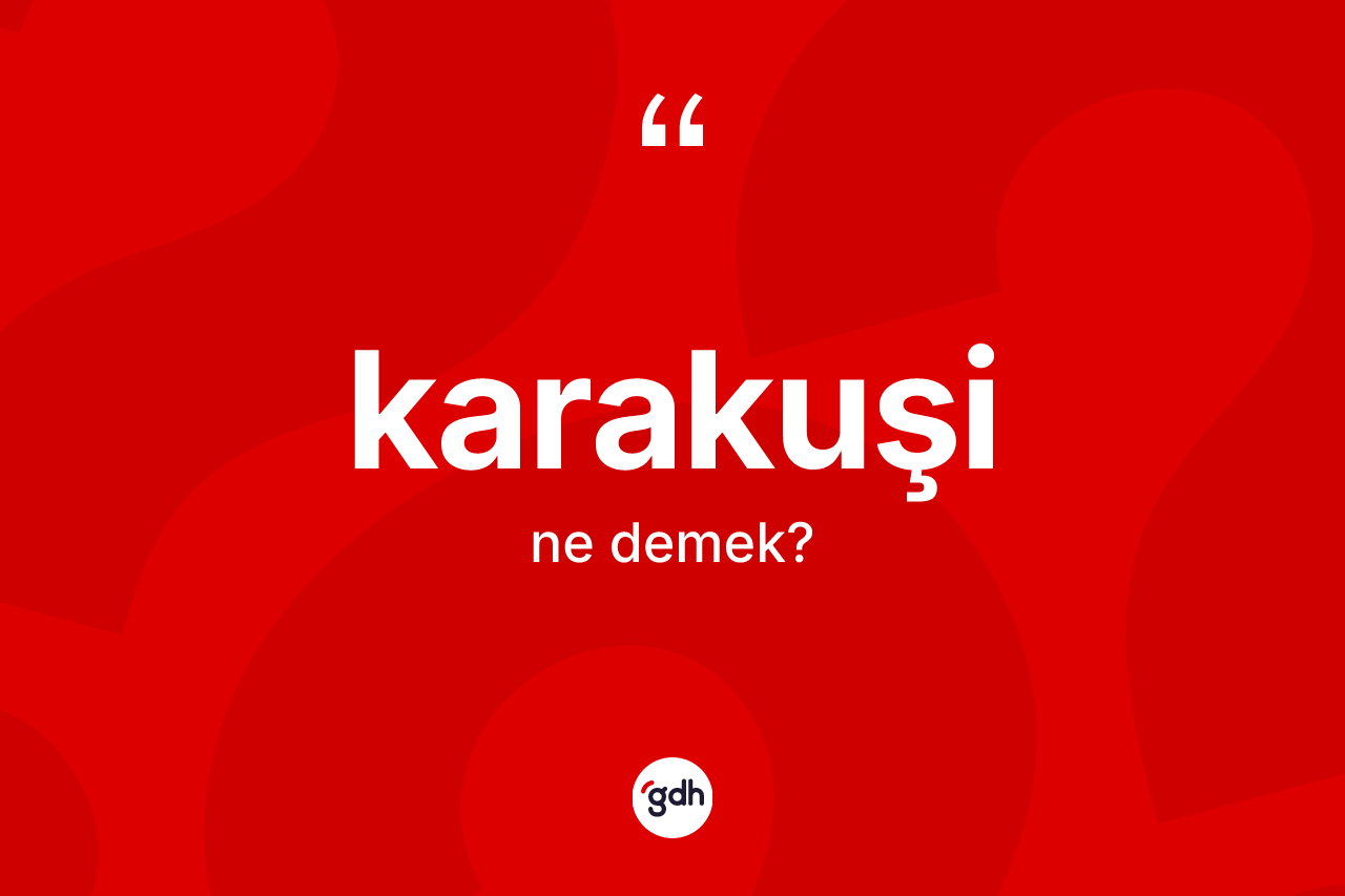 Karakuşi ne demek? Karakuşinin TDK'ya göre anlamı nedir?