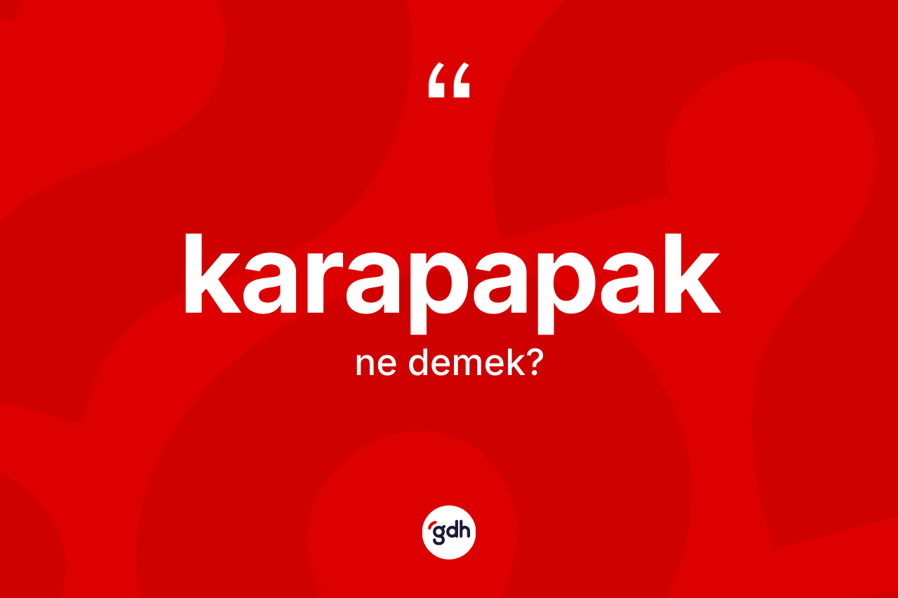 Karapapak kelimesinin tanımı nedir? Karapapak kelimesinin TDK anlamı nedir?
