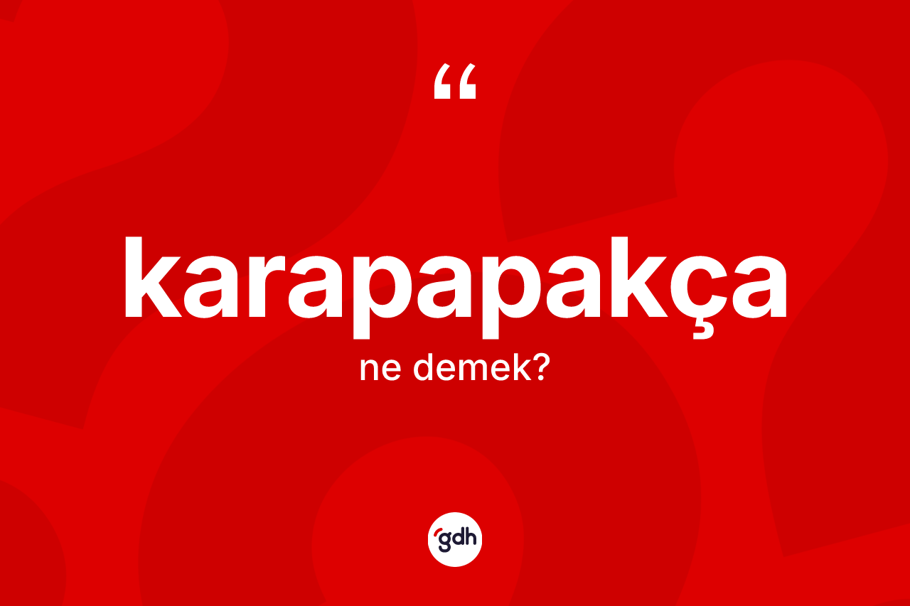 Karapapakça kelimesinin sözlükteki tanımı nedir? Karapapakça kelimesinin özellikleri nelerdir?