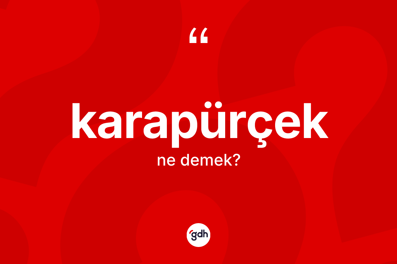 Karapürçek kelimesinin tanımı nedir? Karapürçek'in TDK'ya göre anlamı nedir?
