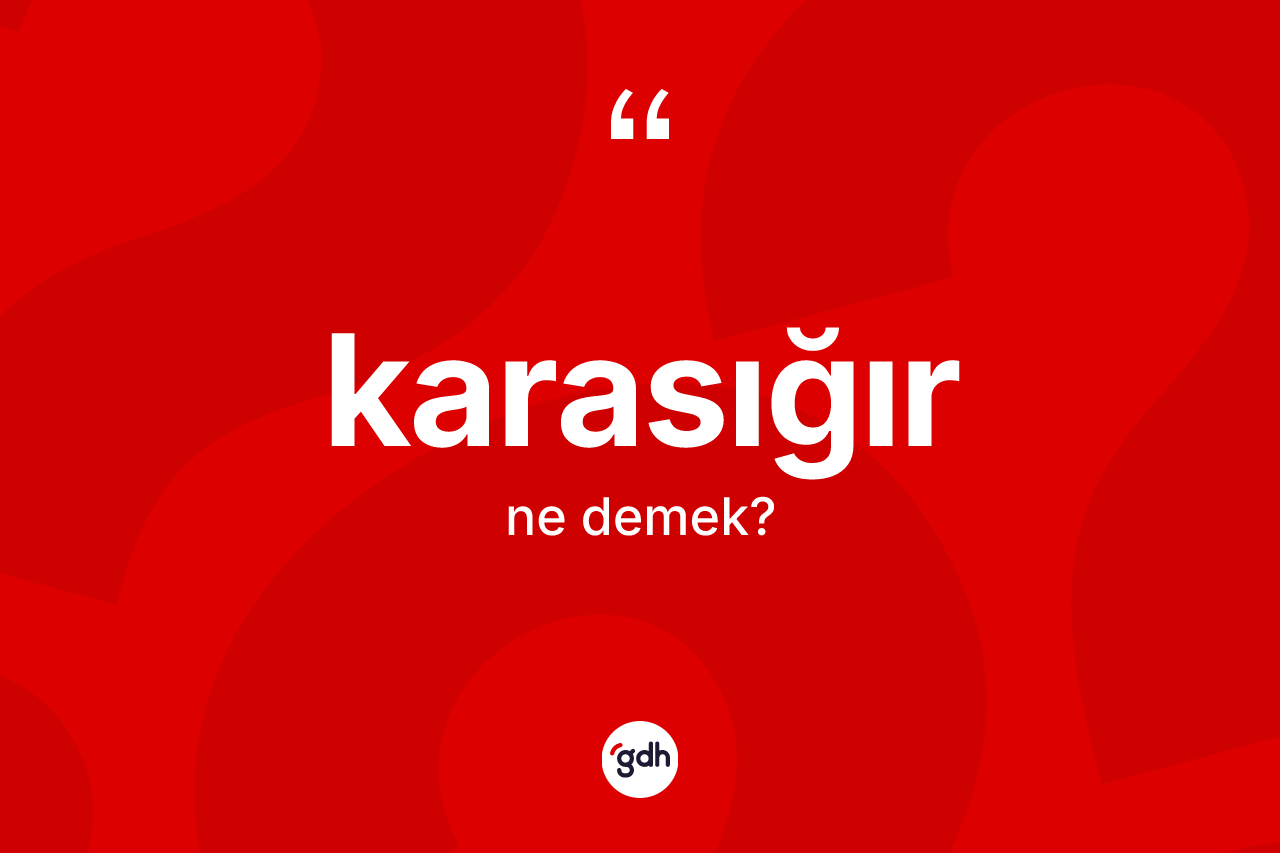 Karasığır kelimesinin sözlükteki tanımı nedir? Karasığırın TDK'ya göre anlamı nedir?
