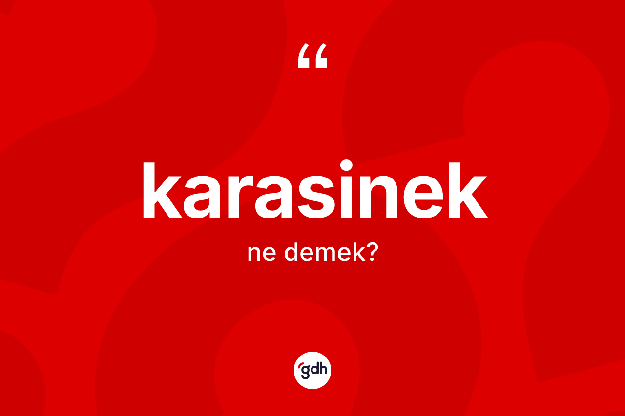 Karasinek kelimesinin tanımı nedir? Karasinek kelimesinin TDK anlamı nedir?