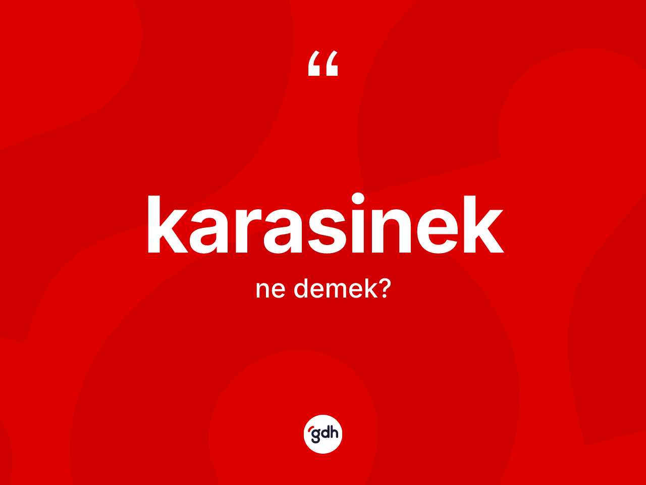 Karasinek kelimesinin tanımı nedir? Karasinek kelimesinin TDK anlamı nedir?